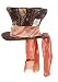 Alice in Wonder land Mad hatter HAT