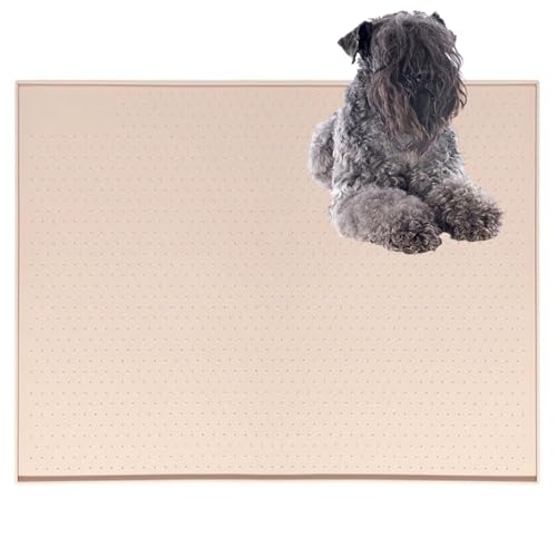 Lifetips P[u[EeA gC}`FX^[eA ybggC}bg VR h ~ 􂦂  L V[gh~ g[p t[Oی ybggC}bg VR}bg ΍ gCV[gŒ h 