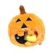 Pumpkin Find a Toy Halloween Dog Toy by Midlee