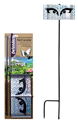 STV International Defenders Espantalho prateado, prateado