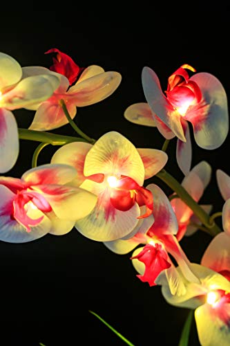 Flcsied Artificial Orchid Flower Pot Artificial Phaleanopsis Arrangement With Vase Decorative Orchid Flower Bonsai With 9 Led Lights (White) #TOP3