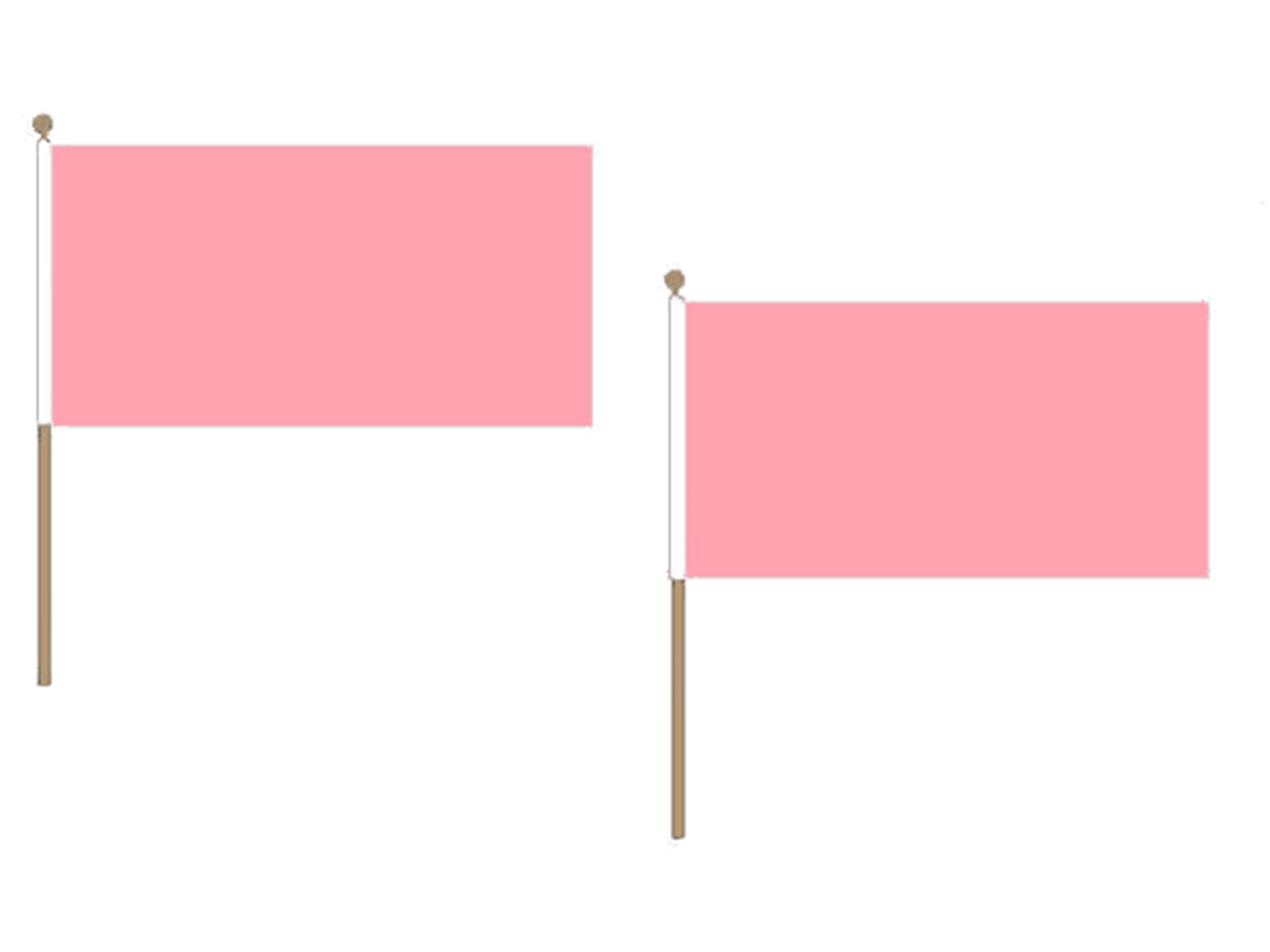 AZ FLAG Drapeau sur Hampe Unicolore Rose 45x30 cm Polyester 100D Hampe Bois