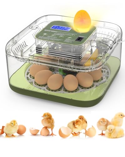 Worshow Egg Incubator, 12 Egg Incubators for Hatching Eggs with Automatic Turning and Humidity Control - 360° View, Integrated Egg Candler Incubator for Hatching Chickens, Ducks, Quail & Other Birds