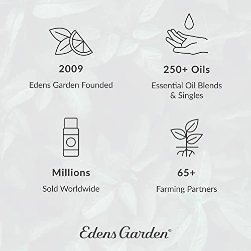 Edens Garden Lavender- French Essential Oil, 100% Pure Therapeutic Grade (Undiluted Natural/Homeopathic Aromatherapy Scented Essential Oil Singles) 10 Ml #TOP2