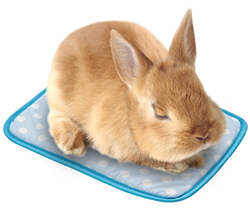 ウサギのおうちを快適に おススメ夏のひんやりグッズ７選 Keito Life