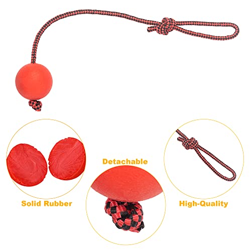 Jerock Dog Ball On A Rope, Indestructible Dog Rope Toy Ball For Aggressive Chewers, Rubber Interactive Dog Rope Ball For Training Dog Catch And Fetch (3 Inches) #TOP1