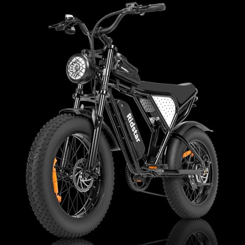 Image of Bopzin Electric Bike for Adults, 𝟭𝟬𝟬𝟬 /𝟭𝟮𝟬𝟬 /𝟭𝟱𝟬𝟬 /𝟮𝟬𝟬𝟬𝗪,25 /30 /35MPH Dirt Bike, 48V 15 /20AH,52V 40AH Removable Battery, Max 50-180Miles Motorcycle, 20 inch Fat Tire Ebike, 7-Speed & UL2849
