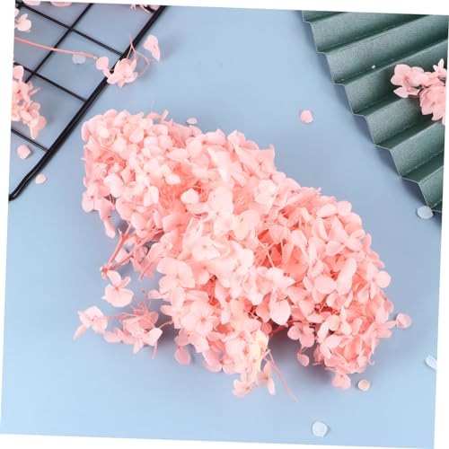 Pétalos secos naturales para arte de uñas y decoración miniatura 6