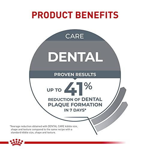 Royal Canin Feline Care Nutrition Dental Care Adult Dry Cat Food, 3 lb Bag