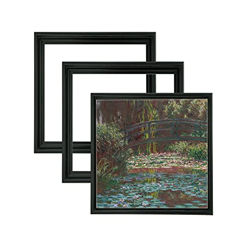 Jerry's Artarama Cardinali Renewal Core Floater Frame, Black 10x10, 3/4" Deep, 3 Pack - No Glass or Backing, Hardware Included, Simple DIY Assembly, Floating Canvas Illusion Frame
