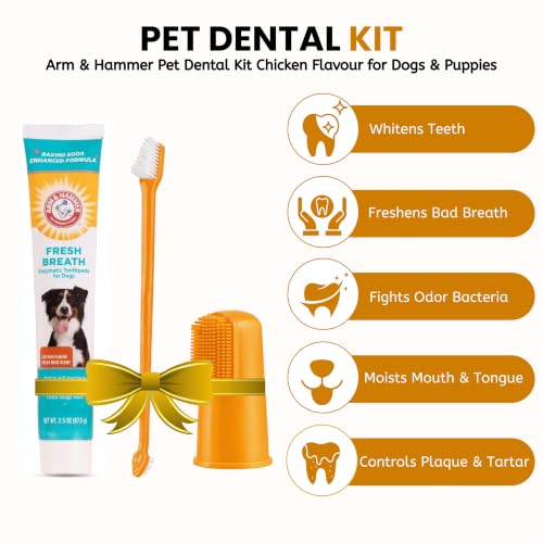 Arm & Hammer, Dog Toothpaste, Dog Toothbrush Kit, Chicken Flavor | Enzymatic baking soda formula freshens breath; dual-sided brush with large and small heads plus finger brush - image 5