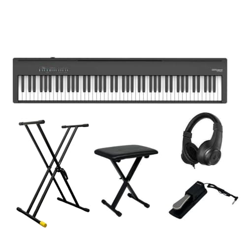 yX^h&֎qy_ZbgzRoland [h dqsAm fW^sAm |[^u 88 Oh^b` FP-30X (5Nۏ, BK ubN)