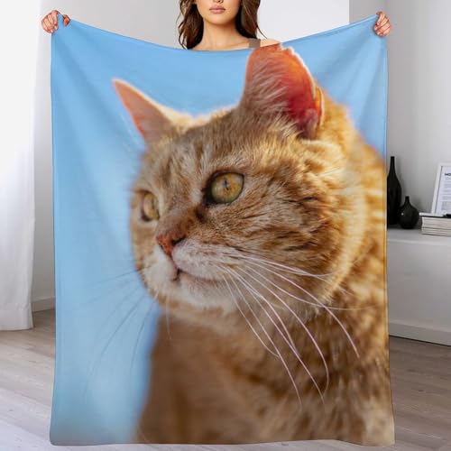 Couverture polaire chat orange pour vos soirées cocooning sur le canapé - 6
