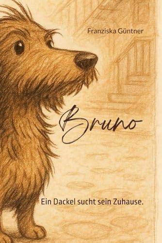 Bruno: Ein Dackel sucht sein Zuhause.