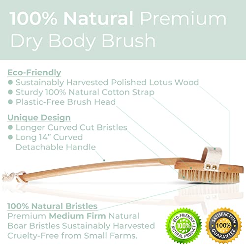Zen Me Premium Boar Bristle Brush, Exfoliating Brush With Medium Firm Natural Bristles For Cellulite And Lymphatic, Body Scrub Brush With Detox Ebook Gift #TOP5