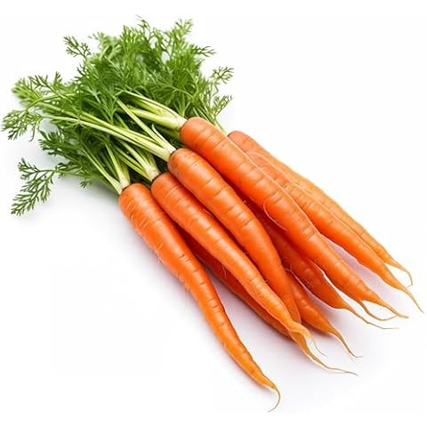 RDR Seeds Tendersweet Carrot Seeds Cover
