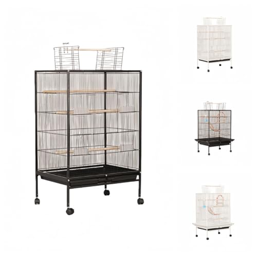 Sandqvipa ^ P[W CR IE  IJ ZLZCp LX^[t gȒP ؃o[hQ[W ^E^Ή (B03LiubNjiWŁj)