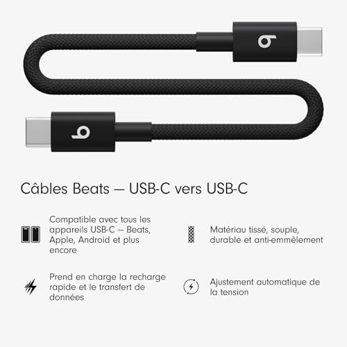 Câble Beats USB C vers USB C 20 cm pour iPhone - vue 3