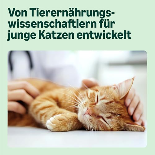 by Amazon Katzenfutter, nass, für junge Katzen, Gemischte Auswahl in Gelee, 1.2kg (12 beutel mit 100g) – Bild 6