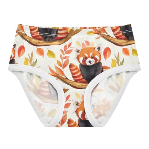 Colorful Toddlers Underwear Floral 2t Cotton Cute Panties Girl Cute Pandas Beige Animal Underpants Briefs