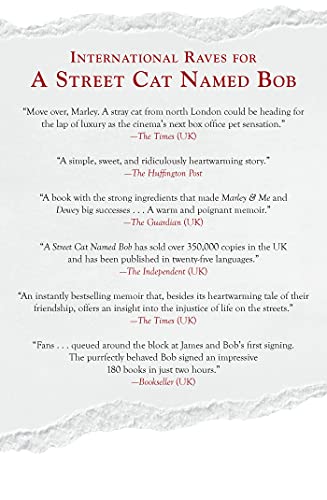 A Street Cat Named Bob: And How He Saved My Life