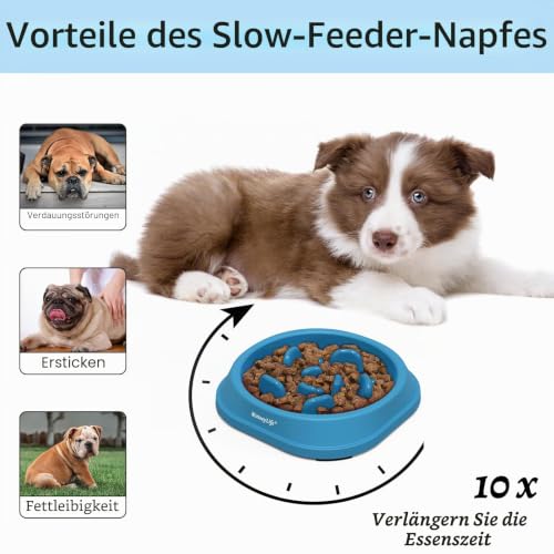Mateeylife Hundenapf, Anti Schling Napf Hund für Kleine Hunde oder Katzen, Slow Feeder Hund FöRdert Eine Gesunde Verdauung, 2 Stück Kleine, Hellblau und Tiefblau