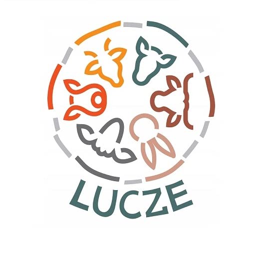 Lucze, Welpen Kauknochen, 4 Stück, Kauartikel für kleine Hunde und Welpen, 2X Ochsenziemer & 2X Schweinerippen Mini Mix, 100 % Natürlich, Getreidefrei, Schonend Getrocknet, Premium Hundesnack