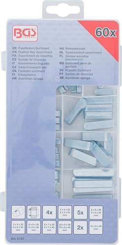 BGS 8141 | Passfedern-Sortiment | 60-tlg.
