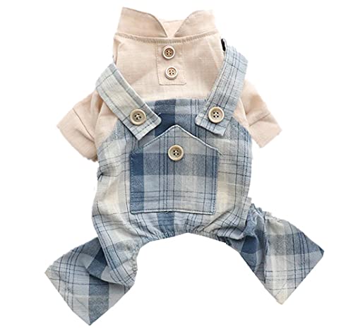 ICOUCHI  tďH Ȃ p[X ^ ^ hbOEFA p[J[  `FbN ybgm I[o[I[ l̑ U ` gCv[h  ʋC