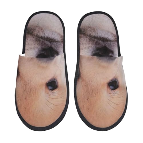 [JECASS]  13 lC v[g Aj Xbp  Y 􂦂 gC qp p E Xbpjp LN^[ ObY  fB[X ~ 킢 qpm