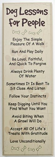 DOG LOVERS GIFT! LARGE DOG LESSONS FOR PEOPLE WOOD SIGN ~ Wall Decor