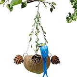 Mangeoire naturelle pour oiseaux, nichoir à oiseaux | Nid de calopsitte à suspendre - Nid décoratif pour perruches, maison de repos pour tourterelle, quatre saisons, pour accessoires de cage à oiseaux