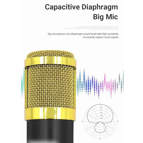 Kit de streaming live contre les bruits ambiants avec microphone de studio stable