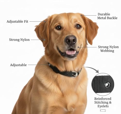 Image of Comfort Fit & Durable Nylon Dog Collar Combo Set - Safe & Adjustable Pet Collars-(Pack of 2) (Red & Blue)