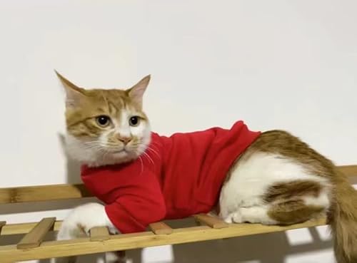 Pet Cat Sweaters For Cats - Hairless Cat Cotton Shirts Pet Clothes - Pullover Kitten Sports Fan Pet T-Shirts With Sleeves - Cats & Small Dogs Apparel (Red, X-Large) #TOP2