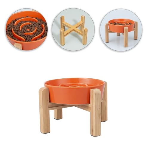  H Hh~ M  t[h{E a |X^ht ^E^p M ̂ юM ~߃V[t Z~bN dqWEH@Ή a6C` IW