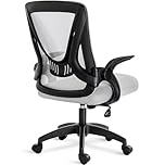Blisswood Adjustable Office Desk Chair, Mesh Swivel Computer Chair With 90° Flip-up Armrest with Lumbar Support Adjustable Height (Grey)