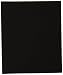 Bissell Premotor Foam Tray 5770 5990 6100 6405 Filter