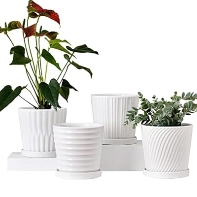 Ton Sin Plant Pots,6 Inch Flower Pots Succulent Pots with Drainage Holes,Indoor Cylinder Ceramic Planters with Saucer,Cactus Planters with Hole,Outdoor Garden Pots