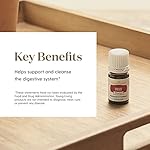 Digize Essential Oil 5ml by Young Living Essential Oils - Image 4