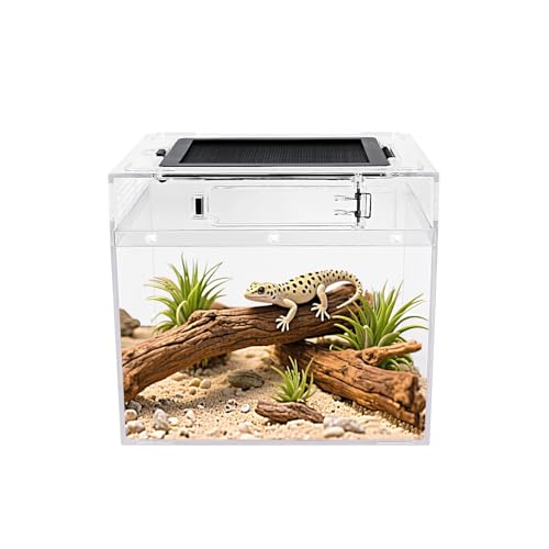 Reptile Growth - Reptile Growth Mini Reptile Terrarium,8" x 8"x 7" Reptile Tank with Full View Visually Appealing,for Insect,Fish,Tarantula,Hermit Crab,Jumping Spider,Iguana,Tortoise,Leopard Gecko,Frog,Bearded Dragon