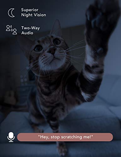 Nooie Pet Camera With Sd Card, Indoor 360 Security Cameras Wifi, Dog Cam With Phone App, Ai Motion Tracking And Sound Detection, 1080P Night Vision Two-Way Audio For Pets Dog Cat Monitoring #TOP3