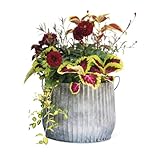 Gardener's Supply Company Galvanized Steel Ribbed Barrel Planter | 12' Diameter Indoor Outdoor Rust-Proof & Watertight Container for Plants & Flowers