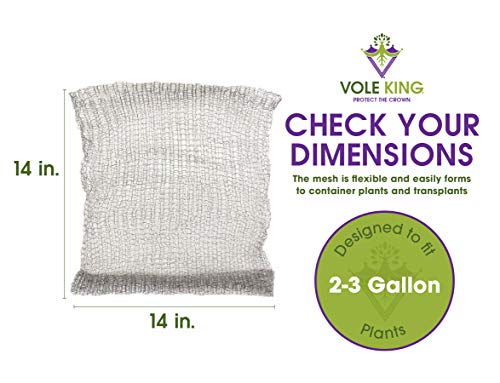 VOLE KING Plant Baskets – Gopher and Vole Baskets, 2-3 Gallon, Pack of 4 – Protect Plants, Trees, Flowers and Bulbs from Voles, Gophers and Moles – A One Time Solution, No Repellent Needed - Thumbnail 5