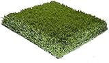 Porch Potty Artificial Grass for Dogs - Outdoor Dog Potty Grass - Dog Grass Pee Pad with Drainage Hole - Replacement Grass Small - Small Size Synthetic Grass - Grass Area (2' x 2')