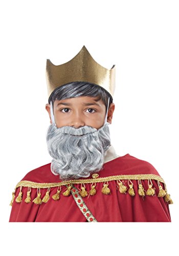 California Costumes Boys Wise Man Beard & Moustache Child, Gray, One Size
