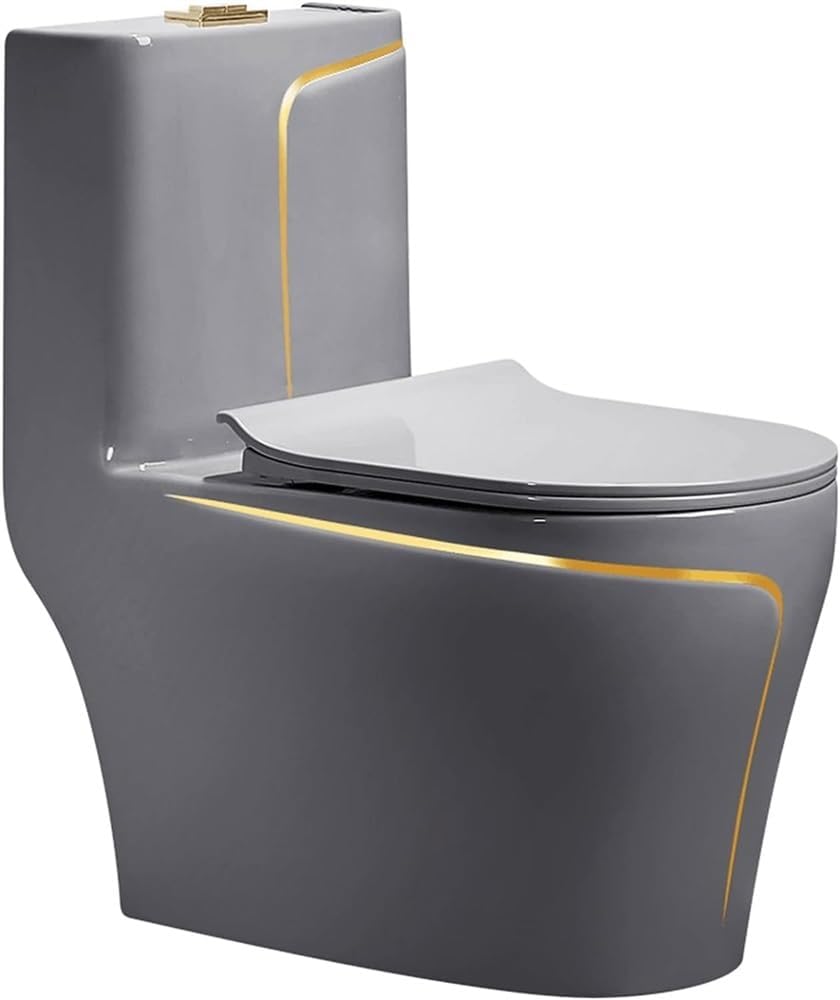 One Piece Toilet with Comfort Seat, Power Dual Flush Toilet, Standard Golden Toilet Bowl, Super Toilets for Bathrooms 300mm