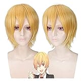 MAGGAZ Cosplay Wig Free Iwatobi Swim Club Hazuki Nagisa Gold Cosplay Wig Short Straight Wigs Bangs for Party Synthetic Hair + Wig Cap FLYAND for Coser