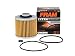 FRAM CH6004 Extra Guard Motorcycle Oil Filter