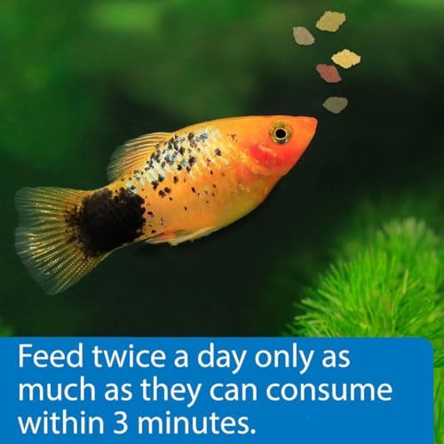 API TROPICAL FLAKES Fish Food .36-Ounce Container - 4